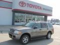 2004 Mineral Grey Metallic Ford Explorer XLT 4x4  photo #1