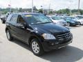 Black - ML 350 4Matic Photo No. 8