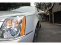 Light Platinum - DTS Sedan Photo No. 7