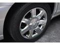 Light Platinum - DTS Sedan Photo No. 15