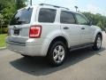Silver Metallic - Escape XLT V6 Photo No. 6