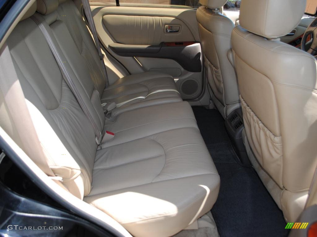 2001 RX 300 AWD - Black Onyx / Ivory photo #10