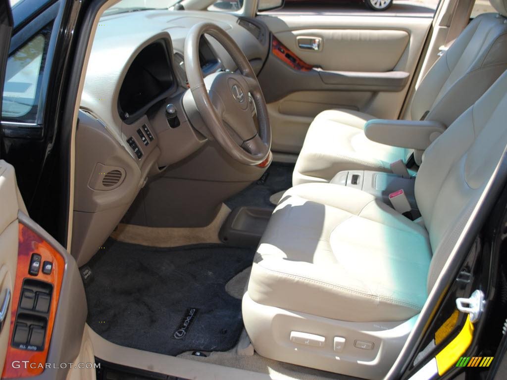 2001 RX 300 AWD - Black Onyx / Ivory photo #13