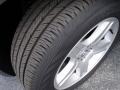 Dark Titanium Metallic - Charger Rallye Photo No. 13