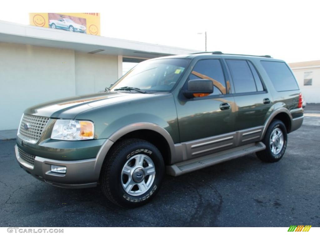 2004 Expedition Eddie Bauer - Estate Green Metallic / Medium Parchment photo #4