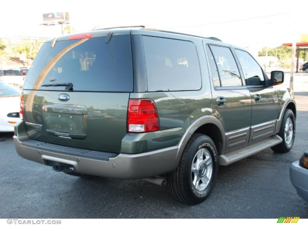 2004 Expedition Eddie Bauer - Estate Green Metallic / Medium Parchment photo #7