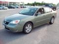 2006 Silver Green Metallic Chevrolet Malibu LT V6 Sedan  photo #11