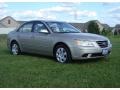 Camel Pearl - Sonata GLS Photo No. 7