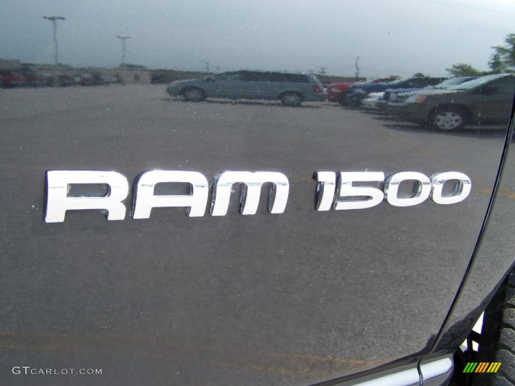 2006 Ram 1500 ST Regular Cab - Brilliant Black Crystal Pearl / Medium Slate Gray photo #7