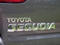 Phantom Gray Pearl - Sequoia SR5 Photo No. 9