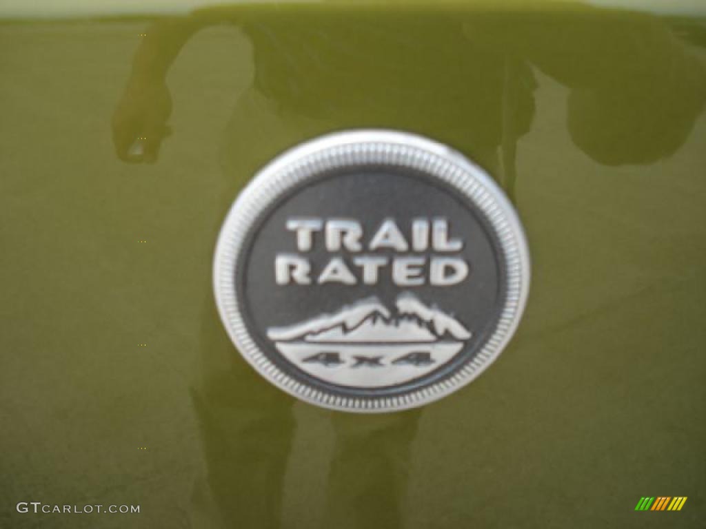 2010 Wrangler Unlimited Mountain Edition 4x4 - Rescue Green Metallic / Dark Slate Gray/Medium Slate Gray photo #17