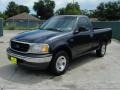 2000 Deep Wedgewood Blue Metallic Ford F150 XL Regular Cab  photo #7