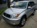 Titanium Metallic - RAV4 4WD Photo No. 1