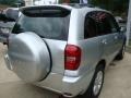 Titanium Metallic - RAV4 4WD Photo No. 4