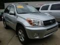 Titanium Metallic - RAV4 4WD Photo No. 5