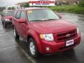 Redfire Metallic - Escape Limited 4WD Photo No. 21