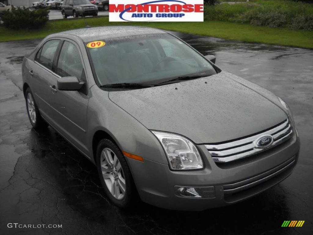 2009 Fusion SEL V6 - Moss Green Metallic / Medium Light Stone photo #21