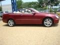 2008 Storm Red Metallic Mercedes-Benz CLK 350 Cabriolet  photo #7