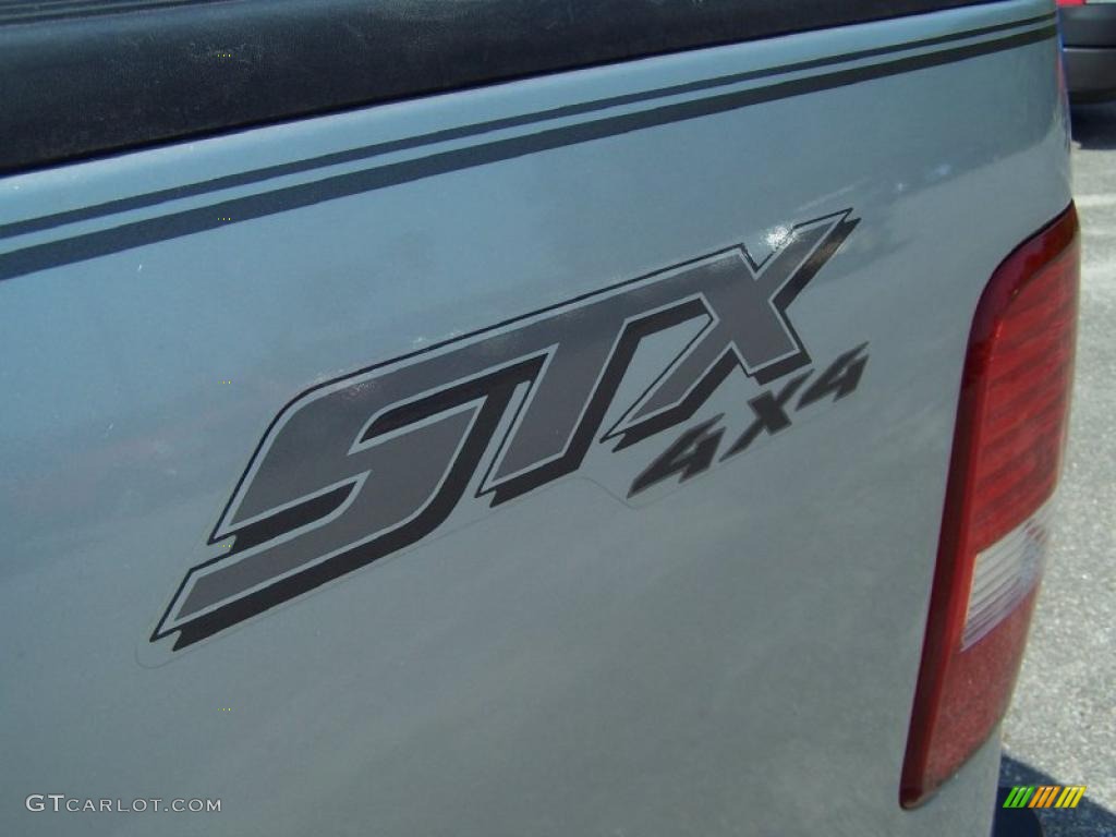 2004 F150 STX SuperCab 4x4 - Silver Metallic / Dark Flint photo #13