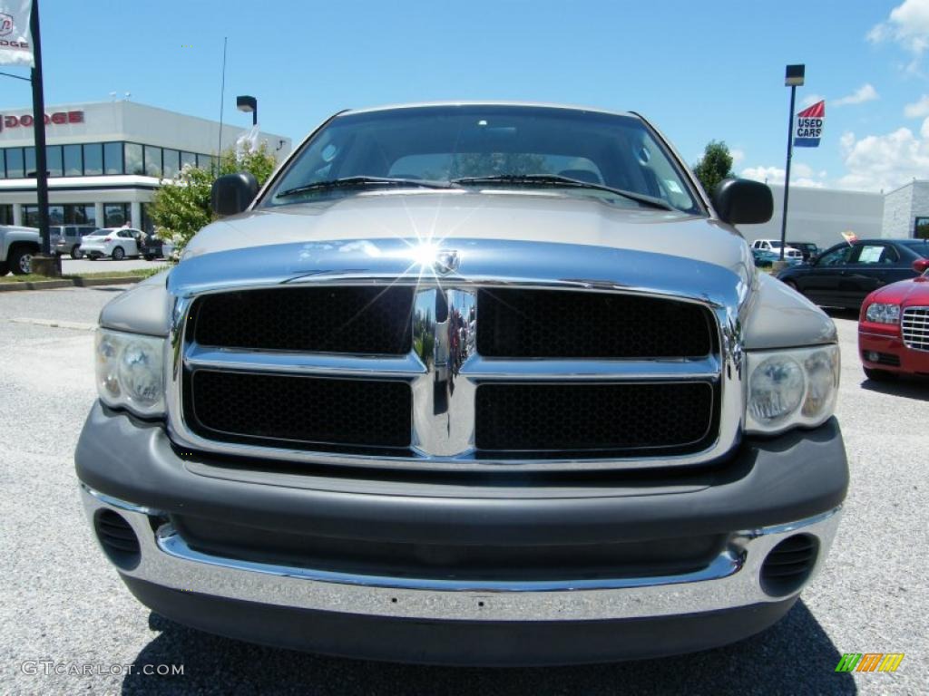 2002 Ram 1500 ST Quad Cab - Light Almond Pearl / Taupe photo #8