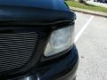 2001 Black Ford F150 SVT Lightning  photo #8