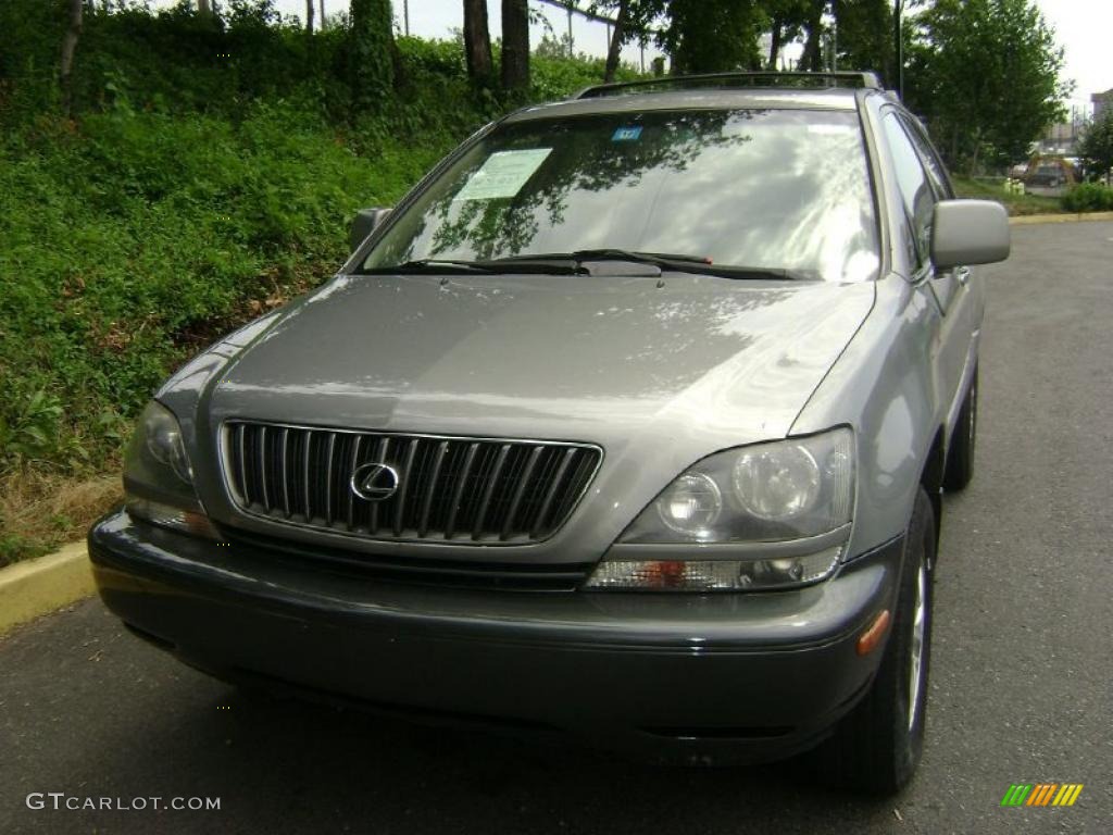 2000 RX 300 AWD - Mineral Green / Ivory photo #2