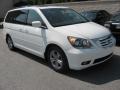 Taffeta White - Odyssey Touring Photo No. 2