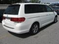 Taffeta White - Odyssey Touring Photo No. 5