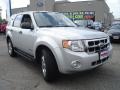 Silver Metallic - Escape XLT V6 Photo No. 7
