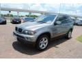 Sterling Grey Metallic - X5 3.0i Photo No. 3