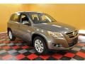 Alpine Grey Metallic - Tiguan S Photo No. 1