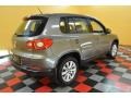 Alpine Grey Metallic - Tiguan S Photo No. 6