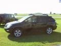 Black Onyx - RX 350 AWD Photo No. 2
