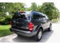 2007 Steel Blue Metallic Dodge Durango SLT 4x4  photo #9