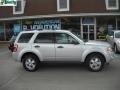 2009 Brilliant Silver Metallic Ford Escape XLT 4WD  photo #2