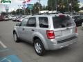 2009 Brilliant Silver Metallic Ford Escape XLT 4WD  photo #5