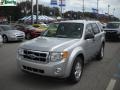 2009 Brilliant Silver Metallic Ford Escape XLT 4WD  photo #14