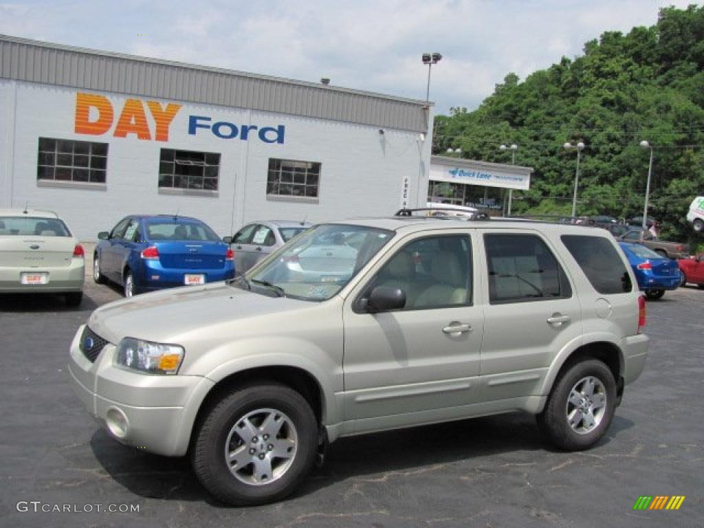 Gold Ash Metallic Ford Escape