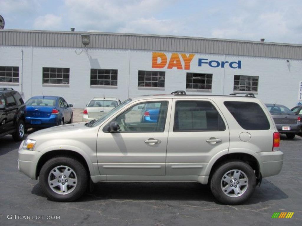 2005 Escape Limited 4WD - Gold Ash Metallic / Medium/Dark Pebble Beige photo #2