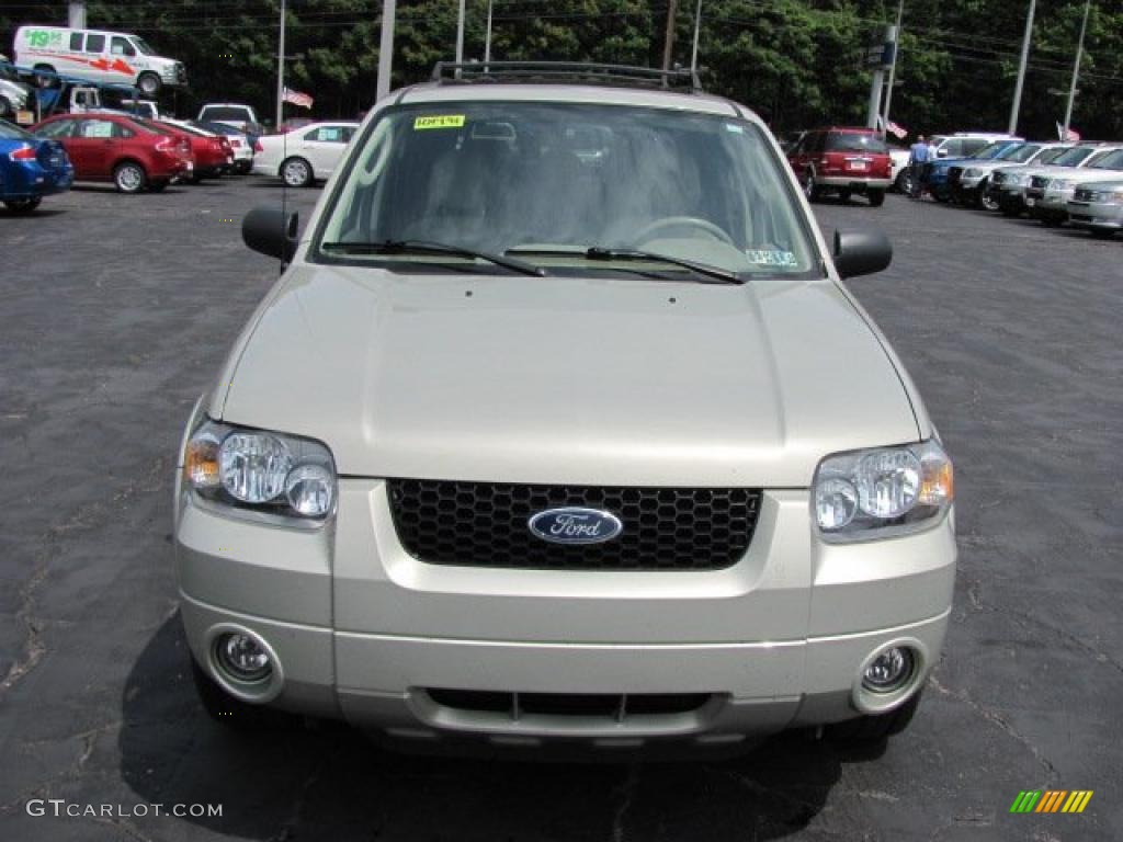 2005 Escape Limited 4WD - Gold Ash Metallic / Medium/Dark Pebble Beige photo #3