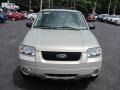 2005 Gold Ash Metallic Ford Escape Limited 4WD  photo #3