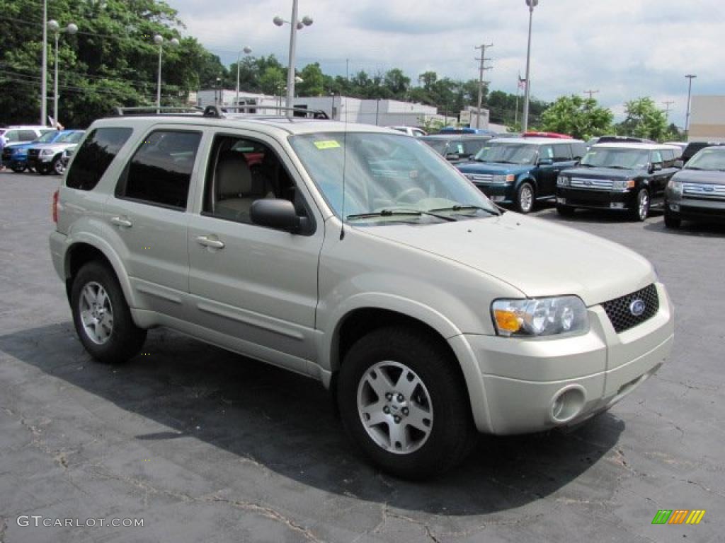 2005 Escape Limited 4WD - Gold Ash Metallic / Medium/Dark Pebble Beige photo #4