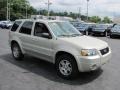 2005 Gold Ash Metallic Ford Escape Limited 4WD  photo #4
