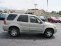 2005 Gold Ash Metallic Ford Escape Limited 4WD  photo #5