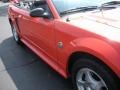2004 Competition Orange Ford Mustang V6 Convertible  photo #4