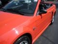 2004 Competition Orange Ford Mustang V6 Convertible  photo #8