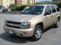 2007 Sandstone Metallic Chevrolet TrailBlazer LS 4x4  photo #7