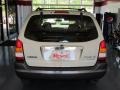 Pebble Ash Metallic - Tribute LX-V6 Photo No. 5