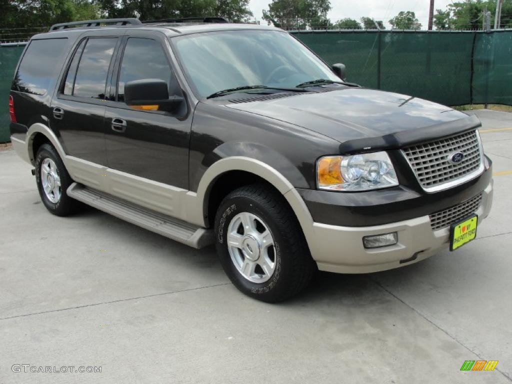 Dark Stone Metallic Ford Expedition