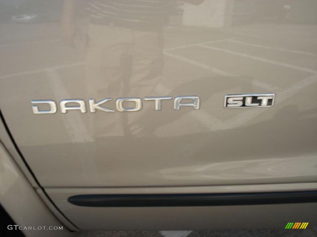 2002 Dakota SLT Club Cab 4x4 - Light Almond Pearl Metallic / Dark Slate Gray photo #29